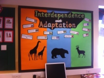 Our Science Display